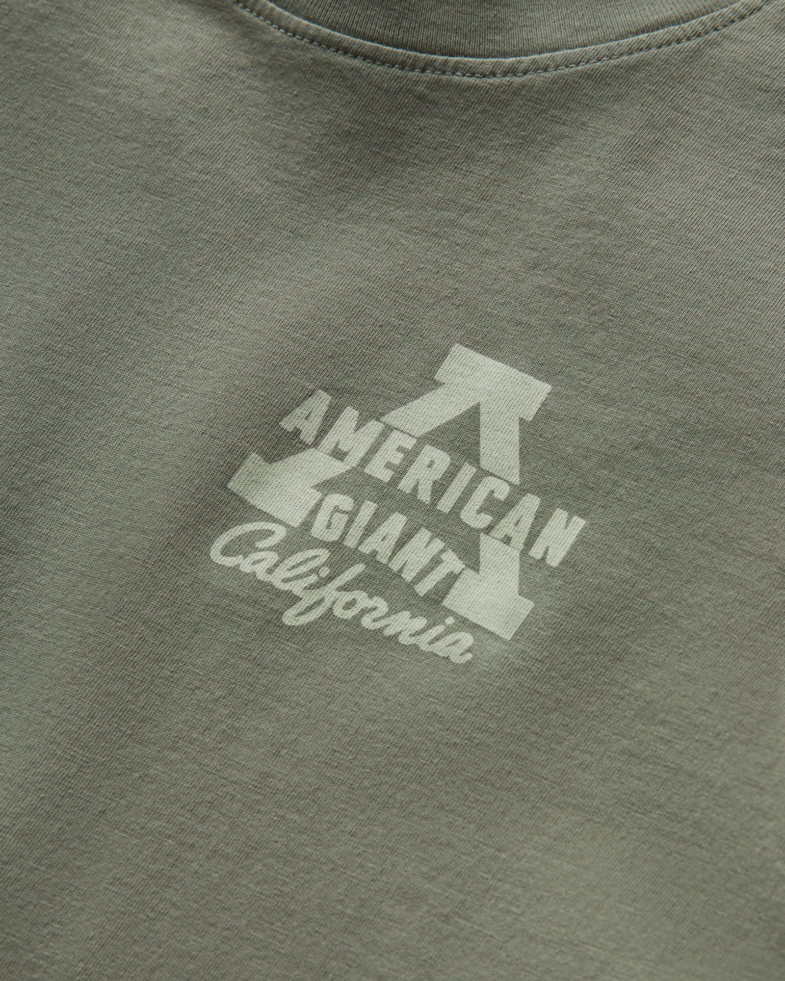 Women's Classic Cotton Graphic Tee - Mulled Basil - Image 3